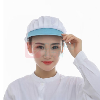 厚创 食用品帽 透气网帽 (天蓝【全布】) 网帽车间防尘工作帽厨师帽防油烟