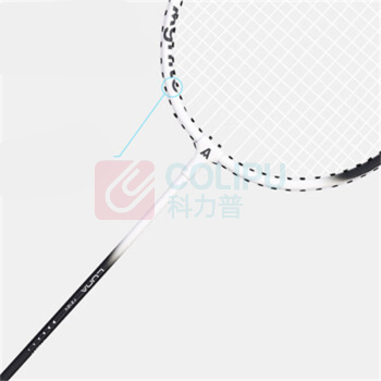 安格耐特 Agnite F2124铝合金分体羽毛球拍双拍超轻防滑耐用比赛 F2107全碳一体单支装 铝合金分体