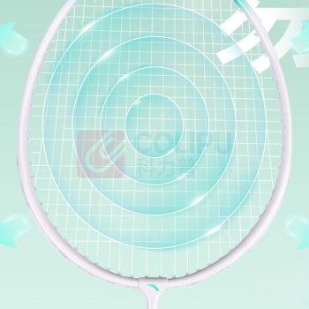 安踏 羽毛球球拍 621-3 对拍