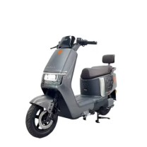 雅迪 电动自行车 E10-liet-D
