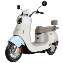 绿源 SHLY 电动自行车 MODAC1 60V20A