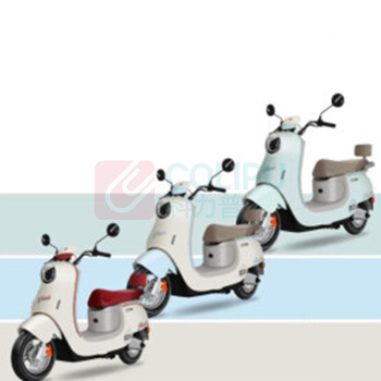 绿源 SHLY 电动自行车 MODAC1 60V20A