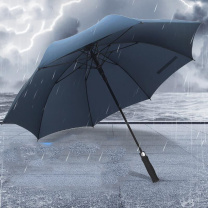 安赛瑞 直柄雨伞 7A00940 伞面直径120cm 高度93cm 8骨 (蓝色) 材质:布料:碰击布,伞骨:玻璃纤维