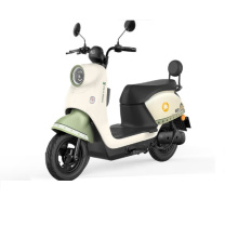 新日 电动自行车 双人踏板 60V