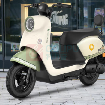 新日 电动自行车 双人踏板 60V