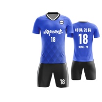 回力 足球服定制运动套装训练球衣比赛队服 HLZQ110 (蓝色)