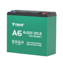 天能 电动三轮车电瓶 48V 52AH