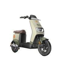 雅迪 电动自行车 60V 双人踏板