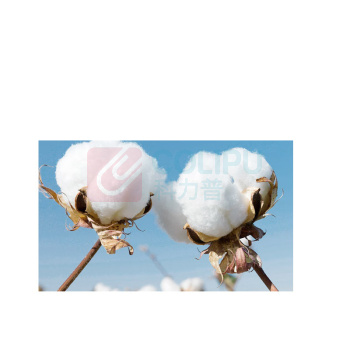 全棉时代 PURCOTTON 小方毛巾 25×25cm (绿色)