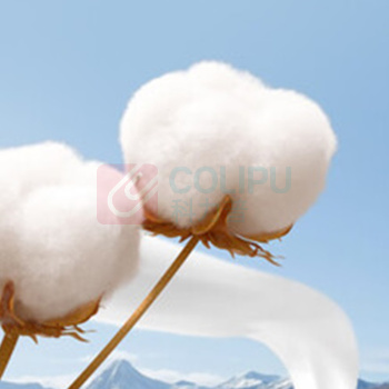全棉时代 PURCOTTON 棉柔巾 洗脸巾 60片*6包