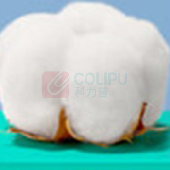 全棉时代 PURCOTTON 棉柔巾 洗脸巾 60片*6包