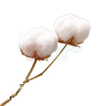 全棉时代 PURCOTTON 一次性洗脸巾 PPM20700010 20*20CM 80片/包 清洁网纹款