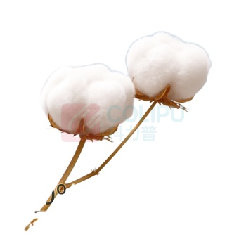 全棉时代 PURCOTTON 一次性洗脸巾 PPM20700011 20*20CM 80片/包 3包/组 清洁网纹款
