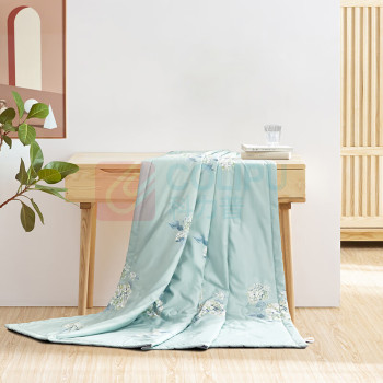 水星家纺 空调被 DH溢香花语夏被 200cm×230cm