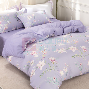 多喜爱 DOHIA.COM 磨绒四件套 云梦花都 203*229cm