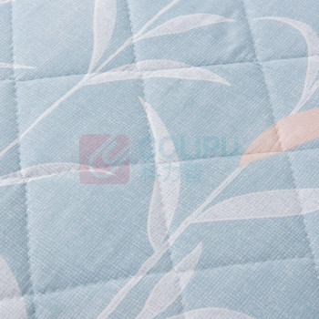 芳恩 FAUNEN 畅享芦荟被 青叶 FN-B6016 150*200cm (蓝色)