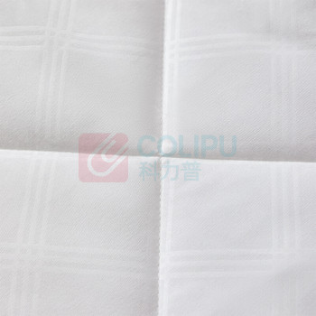 博洋 BOYONG 家纺奢眠抑菌四季被 200*230cm 1000g