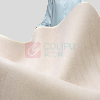 彩虹 CH 电热毯 XL1202 1.5*1.2米