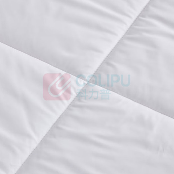 罗莱 LUOLAI A类航天澳洲进口羊毛冬被 200cm*230cm