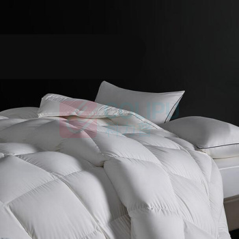 水星家纺 净暖抗菌95%白鹅绒春秋被 200×230cm 600g 贴身A类
