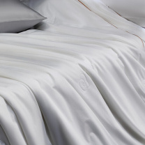 水星家纺 丝语甄享全棉抗菌桑蚕丝二合一被 220×240cm 约10.6斤 (白色)
