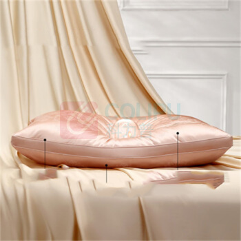 水星家纺 甄享·丝缕舒颈蚕丝枕 48cm*74cm (粉色)