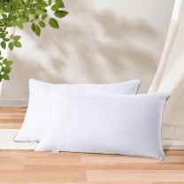 水星家纺 枕头舒适枕芯/枕头床上用品DH 48cm x 74cm x 2 一对 春眠抗菌对枕