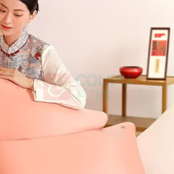 水星家纺 A类莱赛尔抗菌刺绣 精致绣花 青桑有机蚕丝软枕 48*74cm