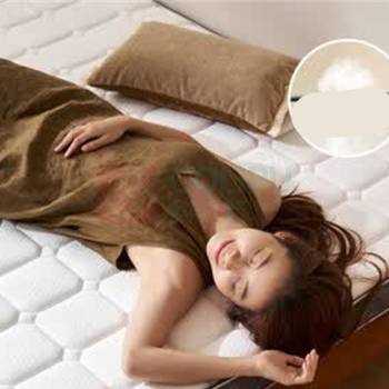 林氏家居 薄垫系列0胶椰棕床垫 CD137A-5cm款 1.0*2.0米
