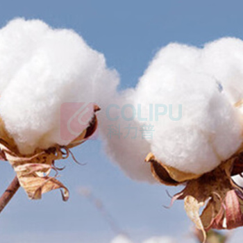 全棉时代 PURCOTTON 纯棉四件套郁见美好 2.2*2.4m 被套220cm×240cm 床单:270cm×245cm 枕套*2:48cm×74cm