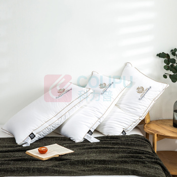 伊伊爱 大豆助眠枕芯单个装 ZX0HJC2100059 48*74cm