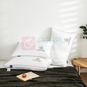 伊伊爱 大豆助眠枕芯单个装 ZX0HJC2100059 48*74cm