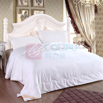 伊伊爱 贡缎百分百桑蚕丝被 SC-C1W-050DN 150*210cm500g (白色)