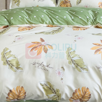 花花公子 Play Boy 生态长绒棉四件套 PB-25MT701 被套:200*230cm;床单:230*235cm;枕套:48*74cm*2