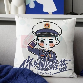 IGIFTFIRE 抱枕 45cm*45cm 大号双面图案枕套+枕芯