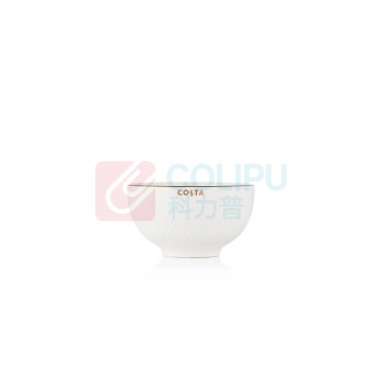 COSTA 餐具套装 CO-CJ001 17件套