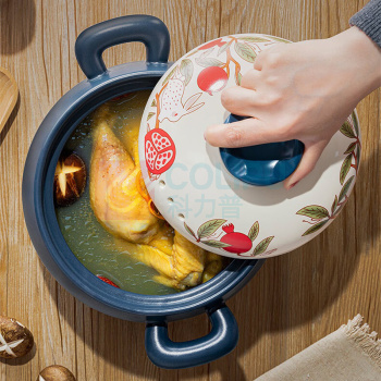 德铂 Debo 砂锅 DB-191 4L/20CM
