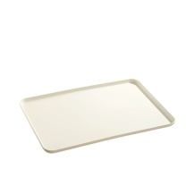 DZ 塑料长方形托盘 50*35*2cm