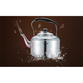 苏泊尔 SUPOR 烧水壶 5L