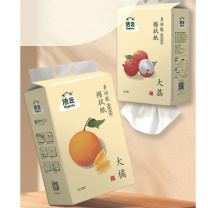 洁云 Hygienix 厨房纸巾 大包 2层250抽(500张)