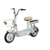 小刀 电动自行车 TDT02506Z 铅酸电池48V/12AH 单点经济批量