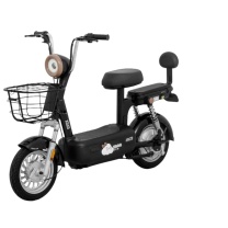 小刀 电动自行车 TDT02507Z 铅酸电池48V/20AH 单点经济批量