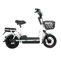 雅迪 电动自行车 小钢炮plus 48V12Ah铅酸电池 (颜色随机)