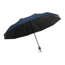 安赛瑞 车载雨伞 760037 32×6cm 10骨 黑胶布+铝合金+ABS (蓝色)
