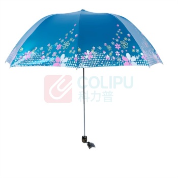 DZ 雨伞 307E 54CM/7k (蓝色)