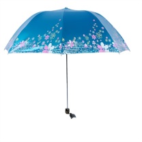 DZ 雨伞 307E 54CM/7k (蓝色)