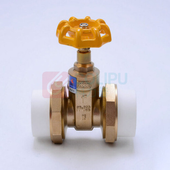 天一金牛 ppr双活接闸阀 2.