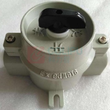 环盛 防爆开关 SW-10 220V/10A 3/4 