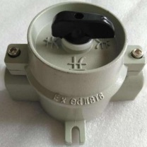 环盛 防爆开关 SW-10 220V/10A 3/4 