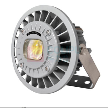 通明 TORMIN LED防爆灯 BC9308S-L80-200 80W IP66 ExdIICT4Gb/ExtDA21IP66T130℃ AC185~264V 5000K 白光 (灰色) (单位:个)